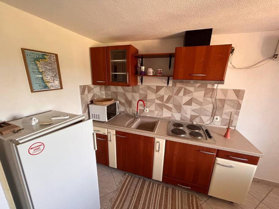 Appartement App Franci Parenzana à Marusici  Extérieur photo