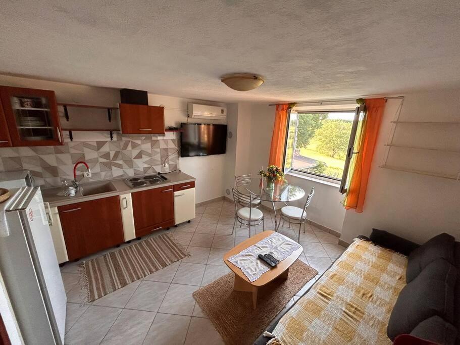 Appartement App Franci Parenzana à Marusici  Extérieur photo